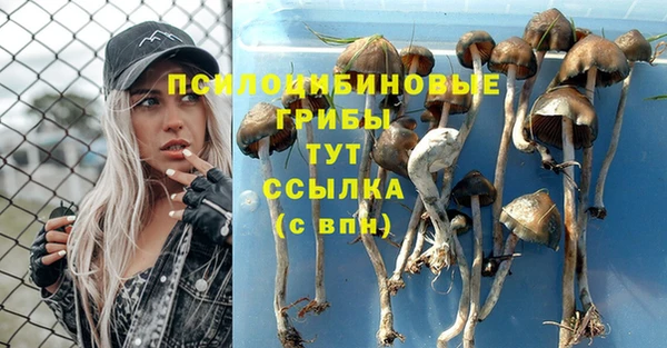 кокаин перу Абаза